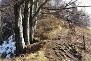 39 In decisa salita per il Monte Zucco